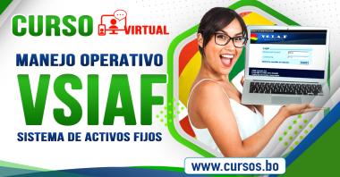 Curso VSIAF - Manejo y disposición de Bienes de Activos fijos (Virtual 24/7)